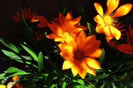 Willits Mini Storage